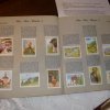 bildersammelbuch