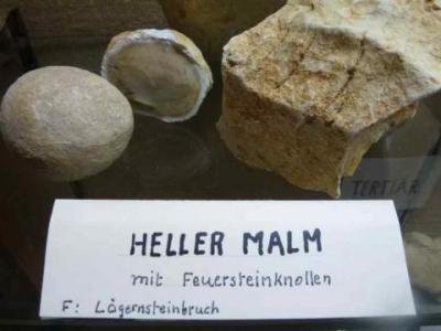 05_silex_knollen