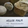 05_silex_knollen