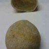 06_sliex_knolle