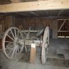 05_Stamm-Fergge