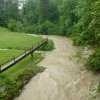 4_hochgehende_Jonen_1