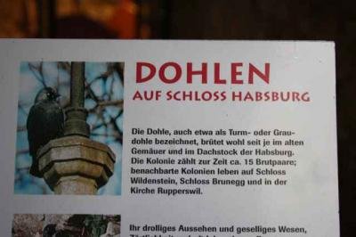 05_Habsburg