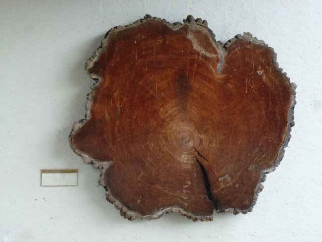 05_P1080074x