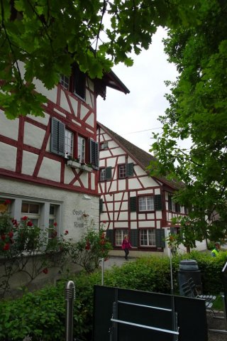 08_DSC01496