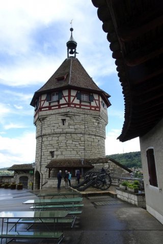 11_DSC01543