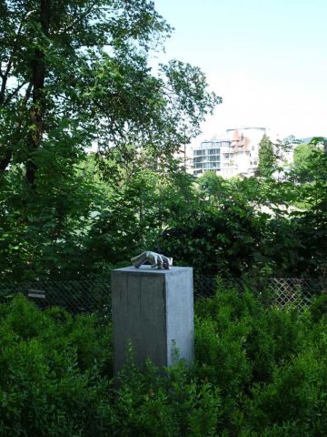 DSC02738_kl