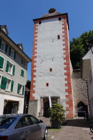 DSC09296_kl